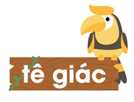 Gấu túi có cách 