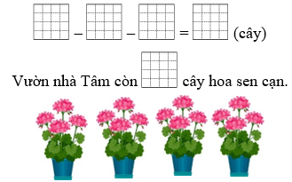 Hỏi vườn nhà Tâm còn bao nhiêu cây hoa sen cạn? (ảnh 1)