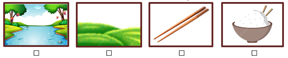Hoàn thành các yêu cầu dưới đây: (ảnh 2)