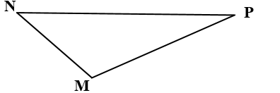 Dùng ê-ke, thước thẳng để vẽ các đường cao của tam giác MNP.   (ảnh 1)