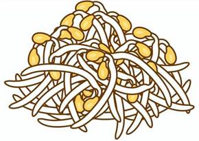 Free Vectors | Bean sprouts-4c