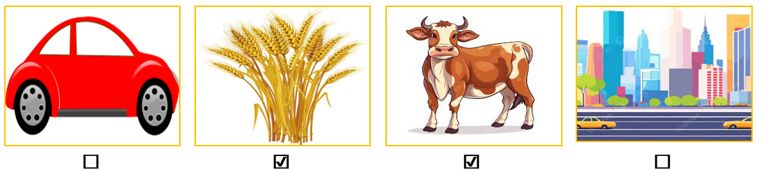 Em hãy đánh dấu ☑ vào ô trống chứa hình ảnh nói về quê hương: (ảnh 2)