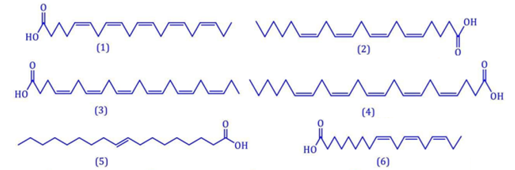 Có bao nhiêu chất thuộc loại acid béo omega-6 trong các chất sau: (ảnh 1)