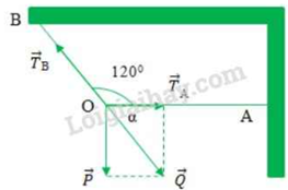 Vật có trọng lượng P = 100 N được treo bởi hai sợi dây OA và OB như hình vẽ. Khi vật cân bằng thì góc AOB = 120°. Tinh lực căng của 2 dây OA và OB. (ảnh 1)