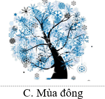 Hoa đào và hoa mai nở rộ vào mùa nào? (ảnh 4)
