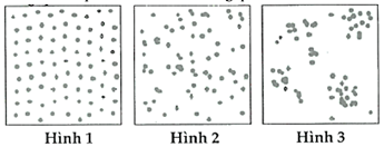 Bộ 2 đề thi giữa kì 2 Sinh học 12 Kết nối tri thức cấu trúc mới có đáp án (ảnh 1)