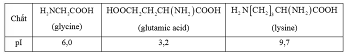 Giá trị pH mà khi đó amino acid có nồng độ ion lưỡng cực là cực đại được gọi là điểm đẳng điện (kí hiệu là pI). (ảnh 1)