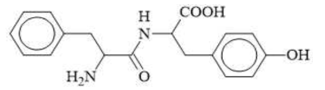 Dipeptide Phe-Tyr có cấu trúc:  Hỗn hợp của dipeptide Phe-Tyr và hai amino acid thành phần (Phe và Tyr) (ảnh 1)