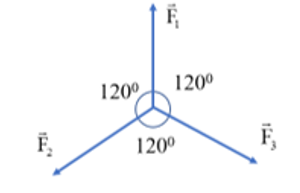 Cho ba lực đồng qui cùng nằm trên một mặt phẳng, có độ lớn F1 = F2 = F3 = 30N và từng đôi một hợp (ảnh 1)