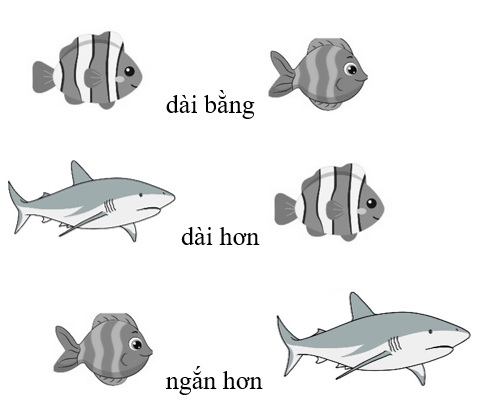 Điền vào chỗ trống “dài hơn, ngắn hơn, dài bằng” (ảnh 2)