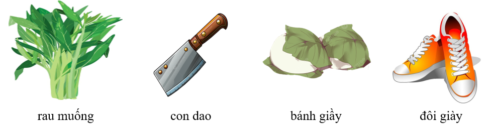 Điền các sự vật bắt đầu bằng “r”, “d” hoặc gi” phù hợp với các hình ảnh: (ảnh 2)