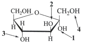 Trong công thức của fructose ở hình dưới đây, nhóm −OH hemiketal là nhóm được đánh số (ảnh 1)