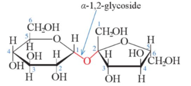 Carbohydrate nào dưới đây không có nhóm −OH hemiacetal (hoặc hemikatal)? (ảnh 1)