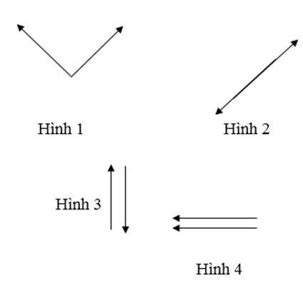 Trong các hình dưới đây, hình nào biểu diễn hai cặp lực cân bằng? (ảnh 1)