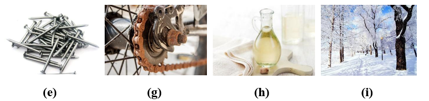 Trong số những quá trình dưới đây:  (a) Lưu huỳnh (sulfur) cháy trong khí oxygen tạo ra chất khí mùi hắc (sulfur dioxide). (ảnh 2)