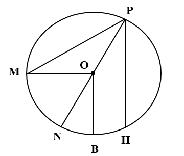 Đúng ghi Đ, sai ghi S (ảnh 1)