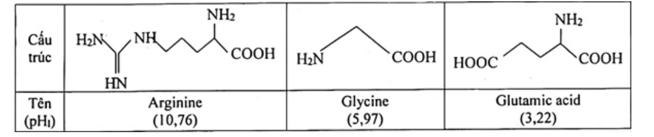 Thực hiện thí nghiệm về tính điện di ở pH = 6 của các amino acid gồm arginine, glycine, glutamic acid. Xét các thông tin dưới đây: (ảnh 1)