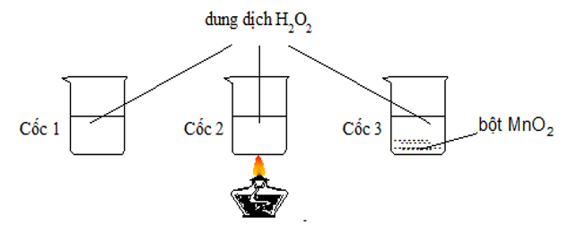Có 3 cốc chứa 20ml dung dịch H2O2 cùng nồng độ. Tiến hành 3 thí nghiệm như hình vẽ sau. (ảnh 1)