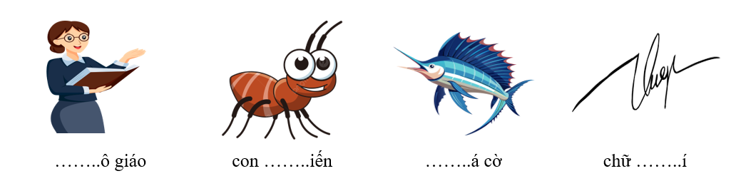 Bài 2. Em hãy quan sát bức tranh và viết tên các sự vật có “c” hoặc “k” vào chỗ trống cho phù hợp: (ảnh 1)
