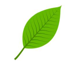 Bài 3. Thảo dùng gì làm tiền để mua hàng? (ảnh 1)