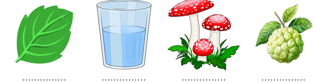 Điền các sự vật có chữ “l” hoặc “n” phù hợp với các hình sau: (ảnh 1)