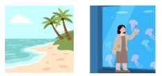 This summer, I am going to the ______________ and _____________ in Nha Trang City. I am going to take a lot of beautiful photos and eat local food there. (ảnh 1)