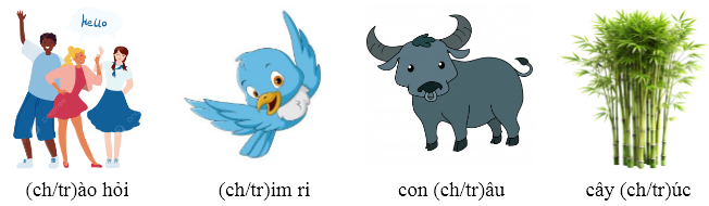 Em hãy gạch chân vào chữ cái phù hợp với các hình dưới đây: (ảnh 1)