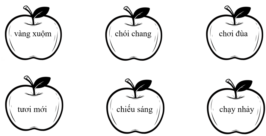 Em hãy tô màu vào những từ chỉ đặc điểm dưới đây: (ảnh 1)