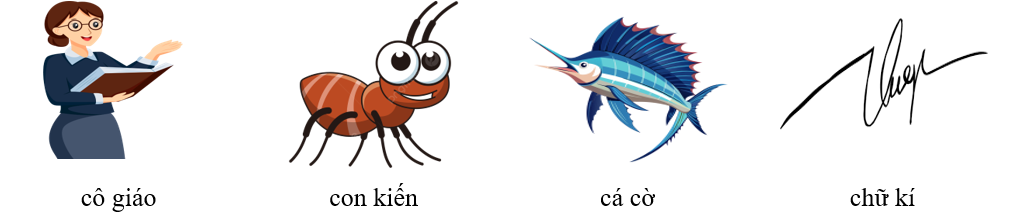Bài 2. Em hãy quan sát bức tranh và viết tên các sự vật có “c” hoặc “k” vào chỗ trống cho phù hợp: (ảnh 2)