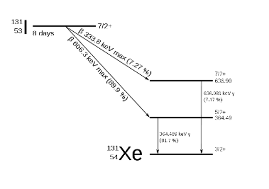 Trong y học, đồng vị  (ảnh 1)