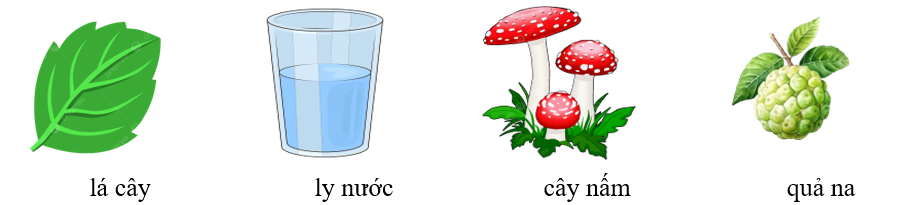 Điền các sự vật có chữ “l” hoặc “n” phù hợp với các hình sau: (ảnh 2)