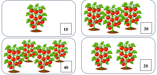 Viết số thích hợp vào ô trống. Biết rằng mỗi cây cà chua có 10 quả. (ảnh 2)