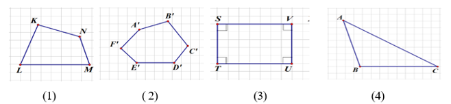 Trong các hình sau, hình nào có trục đối xứng? (ảnh 1)