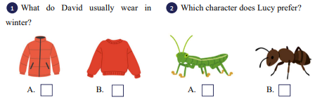 Listen and tick (v). 🎧 What do David usually wear in winter? (ảnh 1)