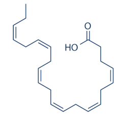 Docosahexaenoic Acid (DHA), là một loại acid béo, đóng vai trò vô cùng quan trọng đối với sức khỏe con người (ảnh 1)