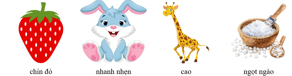 Em hãy điền một từ ngữ chỉ đặc điểm của mỗi sự vật dưới đây: (ảnh 5)