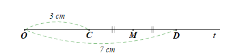 Trên tia \[Ot\] lấy hai điểm \[C,{\rm{ }}D\] sao cho \[OC = 3cm\], \[OD = 7cm\]. (ảnh 1)
