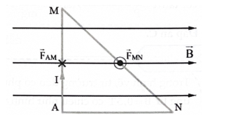Một đoạn dây được uốn gập thành khung dây có dạng tam giác AMN vuông góc tại A. Đặt khung dây vào một (ảnh 2)