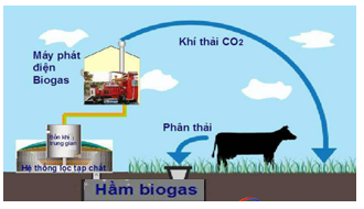 Khí sinh hoạt biogas thường được sản xuất bằng cách ủ kín các chất thải hữu cơ trong chăn nuôi, rác thải (ảnh 1)