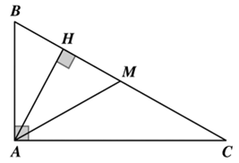 Hướng dẫn giải  Đ&aacute;p &aacute;n đ&uacute;ng l&agrave;: a) Sai.&nbsp;&nbsp;&nbsp;&nbsp; (ảnh 1)