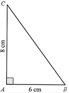 Cho tam giác ABC vuông tại A có AB = 6 cm, AC = 8 cm. Khi đó: (ảnh 1)