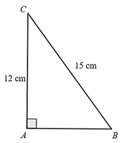 Cho tam giác ABC vuông tại A có BC = 15 cm, AC = 12 cm. Hỏi số đo góc B bằng bao nhiêu độ? (Kết quả làm tròn đến độ) (ảnh 1)