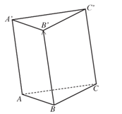 Cho hình lăng trụ tam giác ABC.A'B'C'. (ảnh 1)