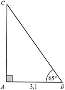 Cho tam gi&aacute;c ABC vu&ocirc;ng tại A, biết AB = 3,1 v&agrave; \(\widehat B = 65^\circ \). T&iacute;nh chu vi của tam gi&aacute;c ABC. (Kết quả l&agrave;m tr&ograve;n đến h&agrave;ng phần mười) (ảnh 1)
