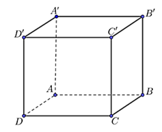 Cho hình hộp chữ nhật ABCD.A'B'C'D' có AB = 2; AD = 3; A'A = 4. (ảnh 1)