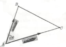 Đ&aacute;p &aacute;n đ&uacute;ng l&agrave; C (ảnh 1)