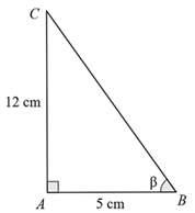 Cho tam giác ABC vuông tại A có AB = 5 cm, AC = 12 cm. Gọi β là số đo của góc B. (ảnh 1)
