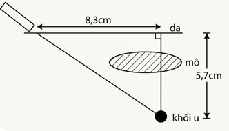 Một khối u của một bệnh nhân cách mặt da 5,7 cm được chiếu bởi một chùm tia gamma. Để tránh làm tổn thương mô, bác sõ đặt nguồn tia cách khối u (trên mặt da) 8,3 cm (như hình vẽ).  (ảnh 1)