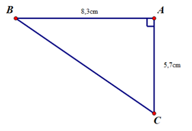 Một khối u của một bệnh nhân cách mặt da 5,7 cm được chiếu bởi một chùm tia gamma. Để tránh làm tổn thương mô, bác sõ đặt nguồn tia cách khối u (trên mặt da) 8,3 cm (như hình vẽ).  (ảnh 2)