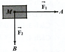 Cho hai lực \(\overrightarrow {{F_1}} = \overright (ảnh 1)